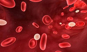 ఎన్ని ఎర్ర రక్త కణాలు!