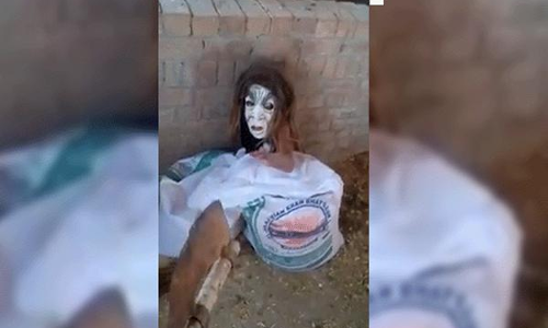 కర్ణాటకలో గ్రహాంతరవాసి.. పశువులు మృత్యువాత!