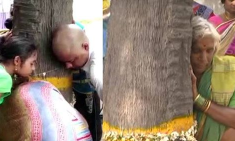 కొండగట్టు చెట్టు గుట్టు