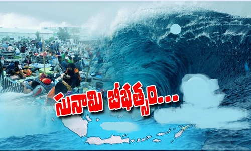 సునామీ భీభత్సం: 222మంది మృత్యువాత సునామీ భీభత్సం: 222మంది మృత్యువాత