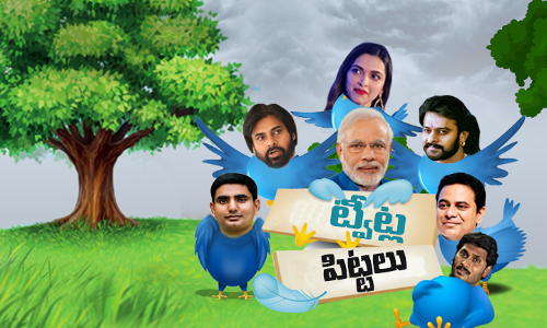 ట్వీట్ల పిట్టలు...మోతెక్కి పోతున్న ట్విట్టర్ పేజీలు