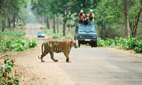 శ్రీశైలం పుణ్యక్షేత్రం మరియు ప్రకృతి పరవశం