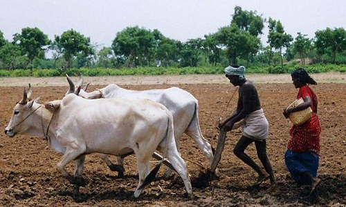 అన్నదాతలకు ఆసరా ఏదీ?