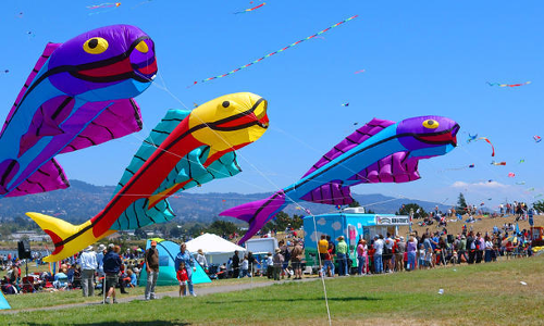 పద పదవే.. వయ్యారి గాలి పటమా! పద పదవే.. వయ్యారి గాలి పటమా!