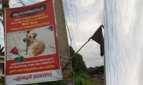 కుక్క చనిపోతే ఊరుఊరంతా శ్రద్ధాంజలి బ్యానర్లు కట్టారు!