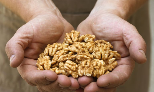 డ‌యాబెటీస్ ను మాయం చేసే వాల్ న‌ట్స్