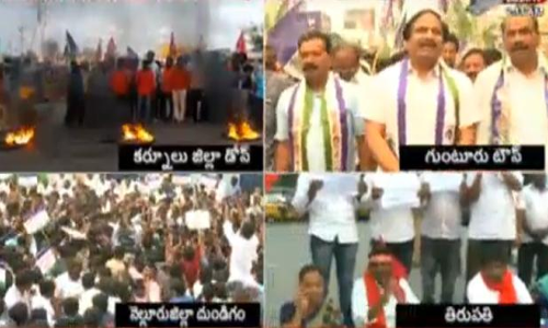 ఏపీలో స్తంభించిన జనజీవనం!