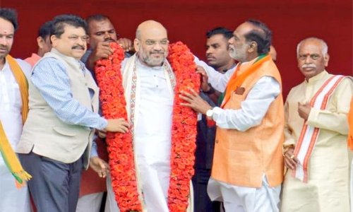 బీజేపీ నేతలకు అమిత్ షా షాక్