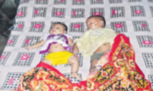 ఇద్దరు పిల్లలతో సహా తల్లి ఆత్మహత్య