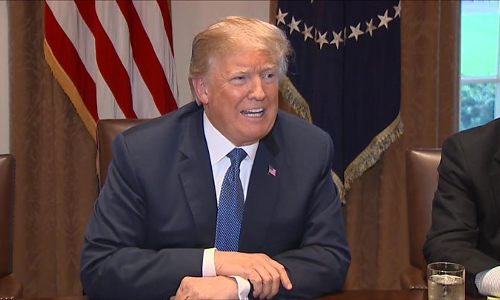 అమెరికా అధ్యక్షుడు అయిన ఆడవారి విషయంలో