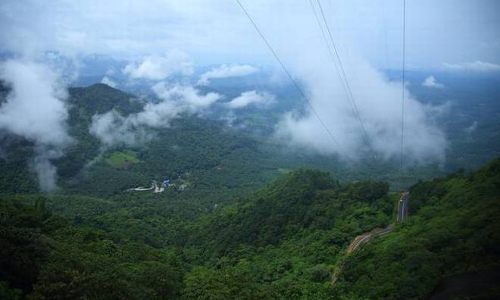 వానతో కళకళలాడుతున్న తెలంగాణ..