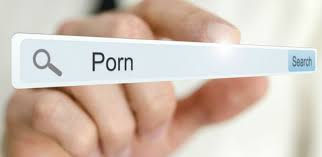 పార్ల‌మెంట్ లో పోర్న్ సైట్లని చూడ‌నివ్వండి..మొర‌పెట్టుకున్న ఎంపీలు