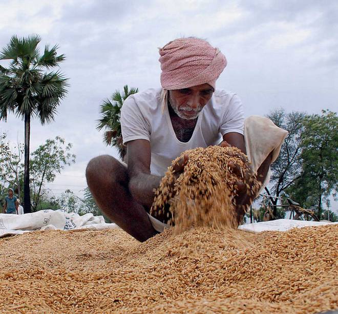 తెలంగాణను కుదిపేసిన గాలి వాన బీభత్సం