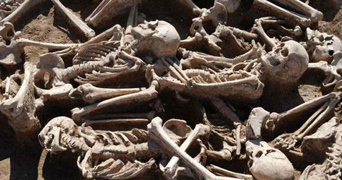 బ్యాగ్‌లో 50 మానవ అస్థిపంజరాల అక్రమ రవాణా