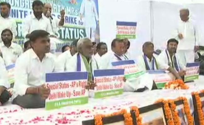 హోదా కోసం వైసీపీ ఎంపీల ఆమరణ దీక్ష