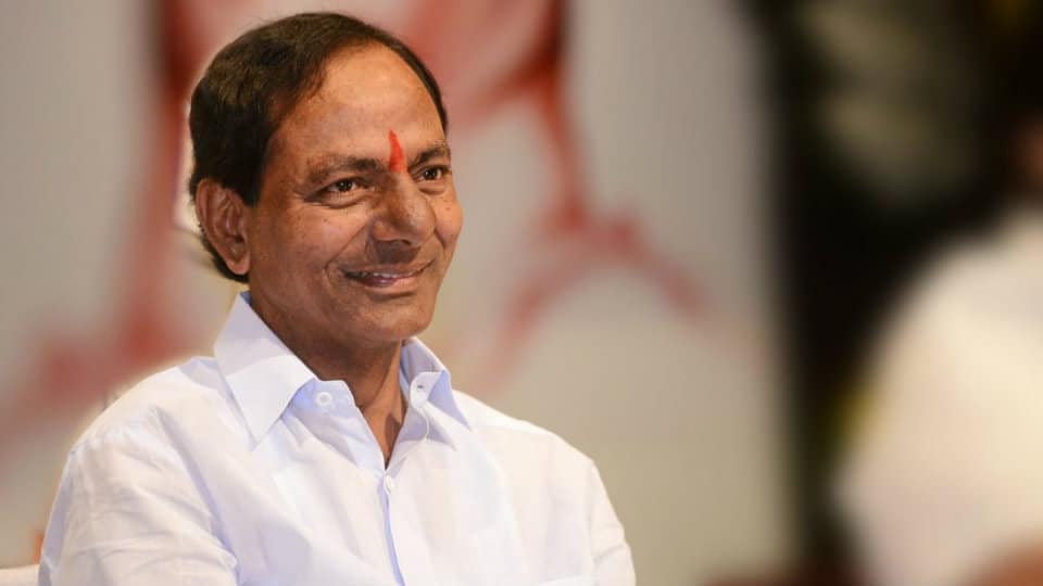 వ్యవసాయం ఇక పండుగే