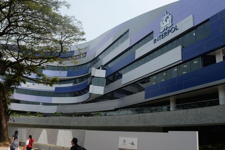 "ఇంటర్ పోల్"