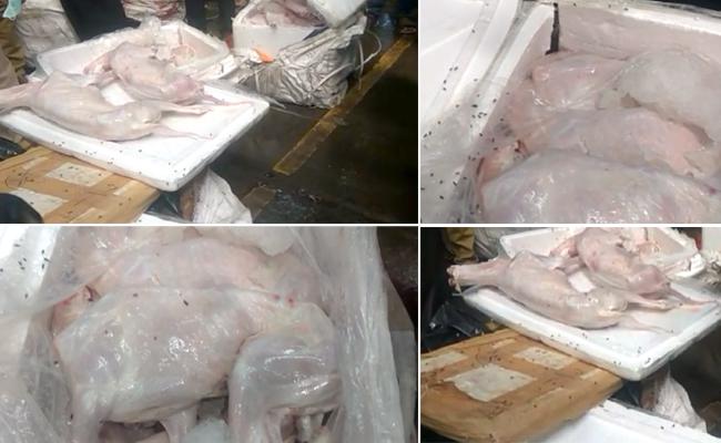 వెయ్యి కిలోల కుక్క మాంసం పట్టుకున్న అధికారులు