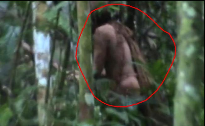 మిగిలివున్న ఒకేఒక్క ఆదిమానవుడికి రక్షణ కరువు