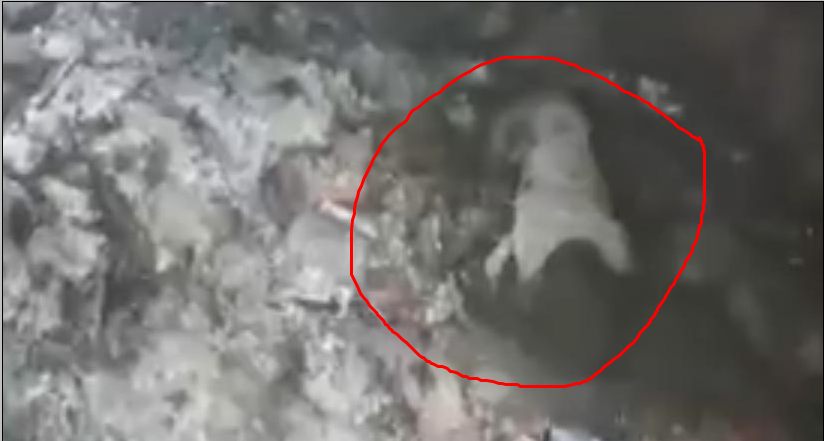 పెద్దాపురం విషాదం..బాణాసంచా బాలుడు మృతి