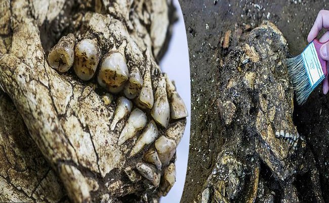 బయటపడిన 6వేల ఏళ్ల క్రితం నాటి అస్థిపంజరం