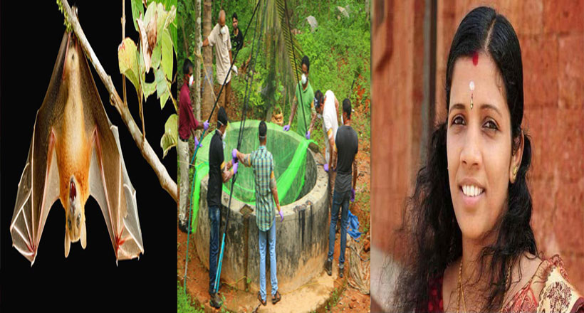 నిపా వైరస్‌ సంక్రమించేది ఇలాగే.. నిర్లక్ష్యం వహిస్తే..