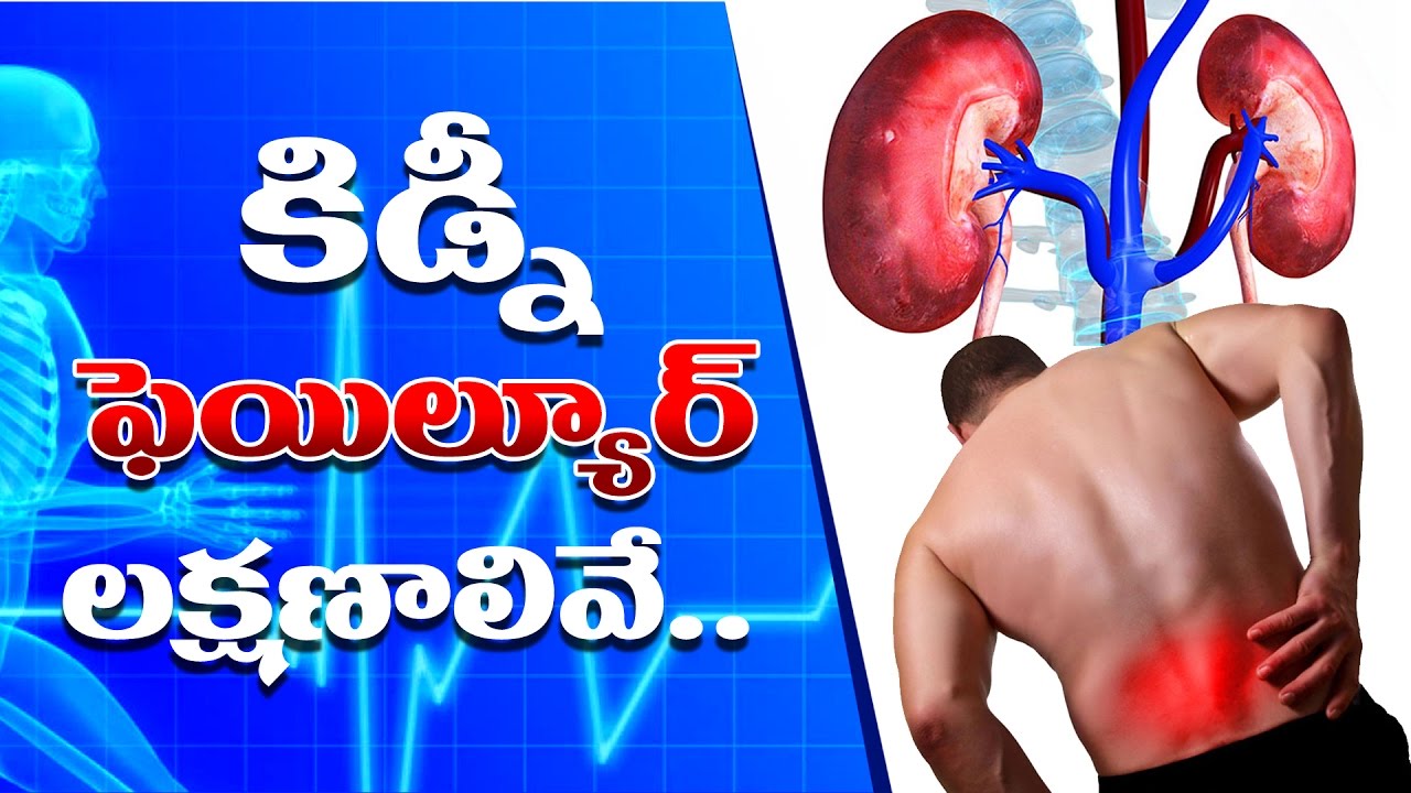 కిడ్నీ సమస్యని గుర్తించడం ఎలా కిడ్నీ సమస్యని గుర్తించడం ఎలా