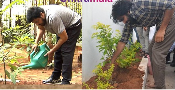 మెగా గ్రీన్ ఛాలెంజ్ తీసుకున్న పవర్ స్టార్