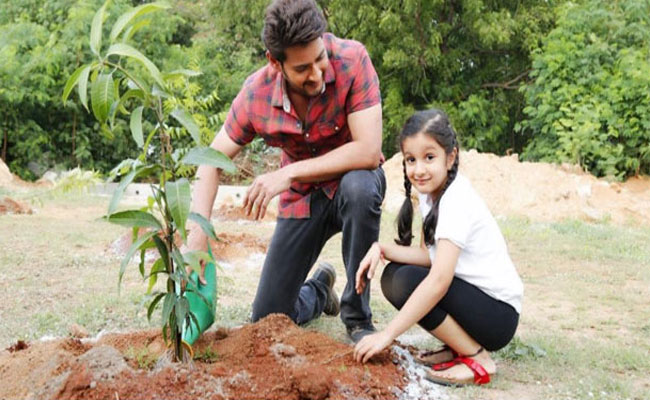 మంత్రి కేటీఆర్ ఛాలెంజ్ కు స్పందించిన హీరో మహేష్