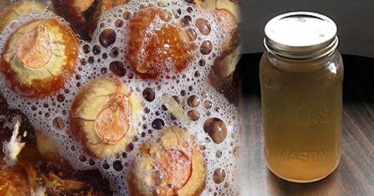 కుంకుడు కాయ షాంపూ