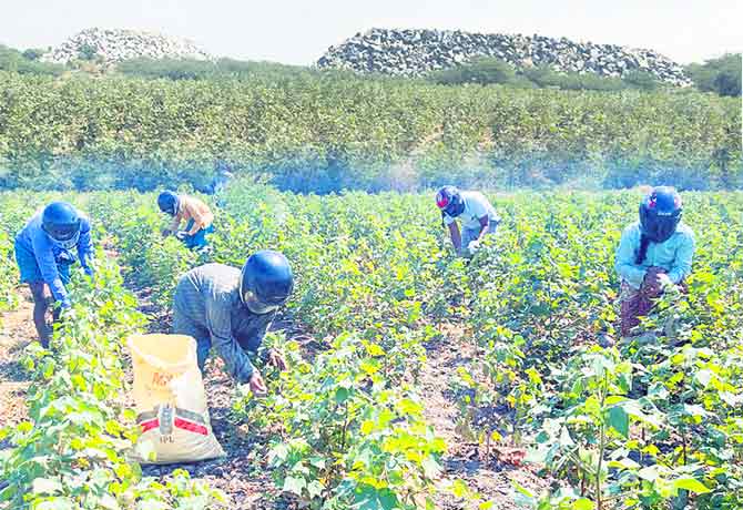 వారెవ్వా... కొత్తగా ఉంది... కంటిన్యూ చేస్తే పోలా!! వారెవ్వా... కొత్తగా ఉంది... కంటిన్యూ చేస్తే పోలా!!
