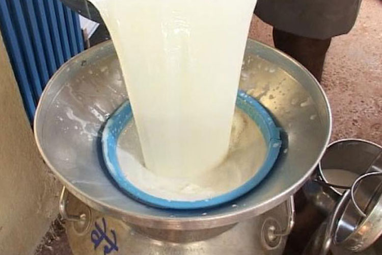 ప్రపంచంలో అతి పెద్ద పాల ఉత్పత్తిదారు