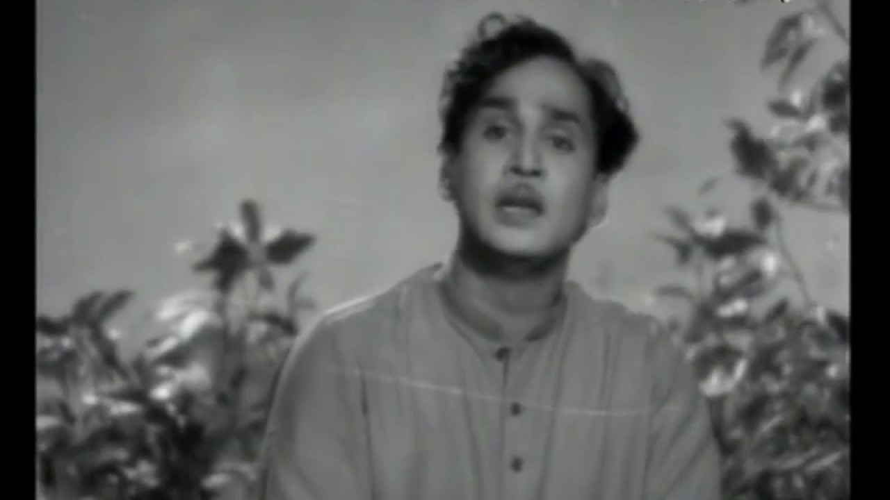 కారులో షికారు కెళ్ళే !