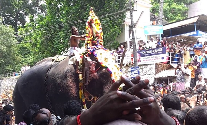 శబరిమలలో అపశ్రుతి శబరిమలలో అపశ్రుతి