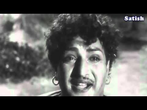 అమ్మా అని అరచినా ఆలకించవేమమ్మా! అమ్మా అని అరచినా ఆలకించవేమమ్మా!