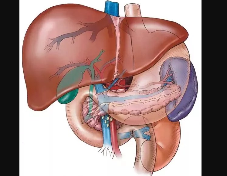 అతి పెద్ద గ్రంధికి తప్పని మందు బరువు అతి పెద్ద గ్రంధికి తప్పని మందు బరువు
