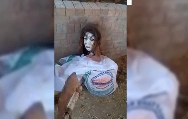 కర్ణాటకలో గ్రహాంతరవాసి.. పశువులు మృత్యువాత!