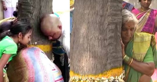 కొండగట్టు చెట్టు గుట్టు