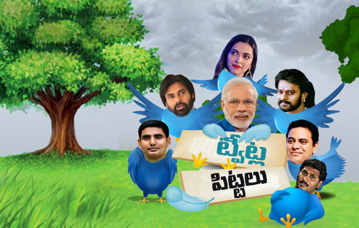ట్వీట్ల పిట్టలు...మోతెక్కి పోతున్న ట్విట్టర్ పేజీలు