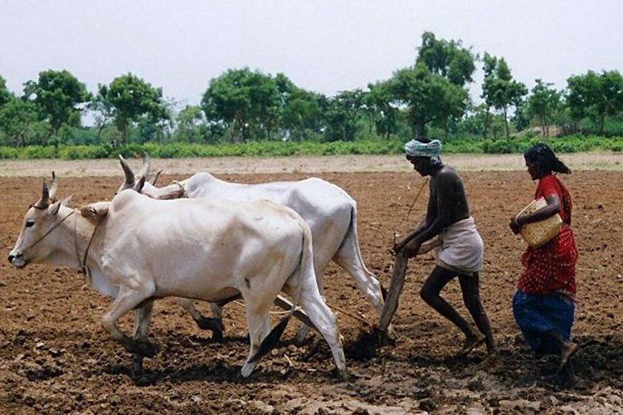 అన్నదాతలకు ఆసరా ఏదీ?