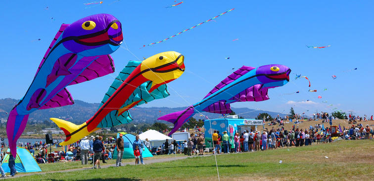 పద పదవే.. వయ్యారి గాలి పటమా!