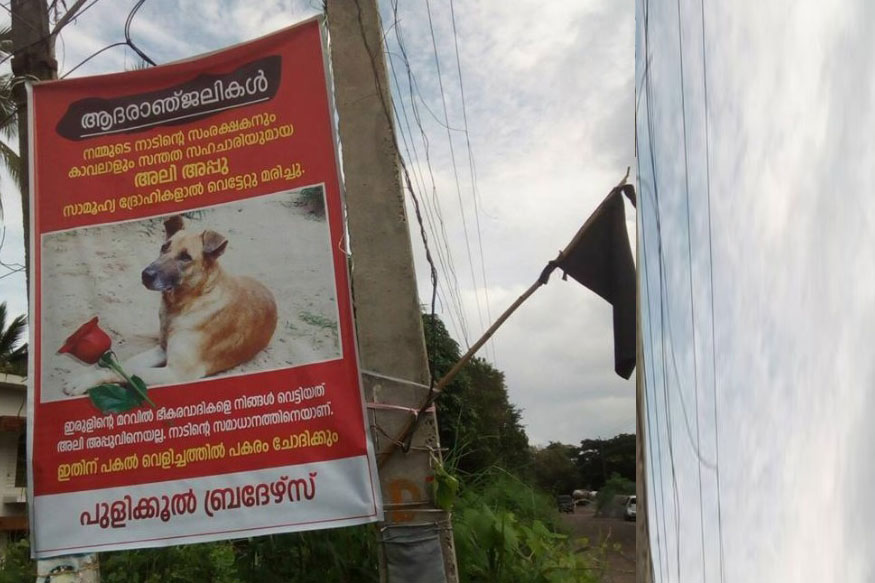 కుక్క చనిపోతే ఊరుఊరంతా శ్రద్ధాంజలి బ్యానర్లు కట్టారు!