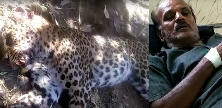 పులిని చంపిన పోటుగాడు