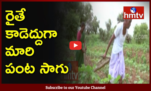 రైతే కాడెద్దుగా మారి పంటసాగు