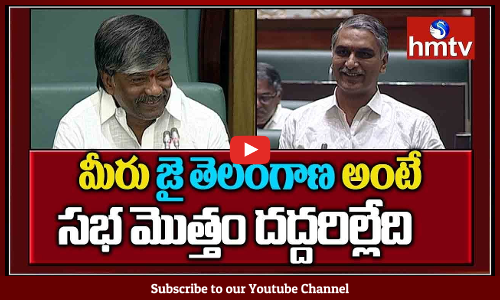 మీరు జై తెలంగాణ అంటే ...