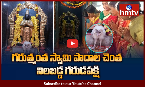 వెంకటేశ్వర ఆలయంలో ‘గరుడ’ ప్రత్యక్షం