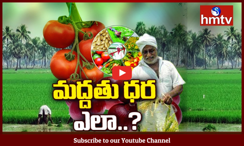 మద్దతు ధర ఎలా నిర్ణయిస్తారు ?