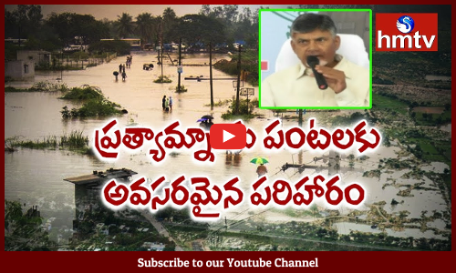 హెక్టార్ కు రూ.25 వేలు నష్టపరిహారం అందిస్తాం