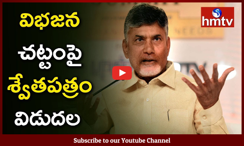 తొలి శ్వేతపత్రం విడుదల చేసిన చంద్రబాబు