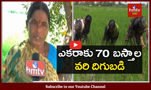 వరిసాగులో విప్లవం సృష్టించిన సుగుణమ్మ